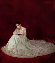 Embellished Gown with Lehenga Choli and Dupatta Dress Online