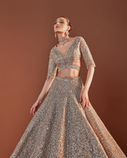 Embellished Grey Lehenga Choli for Indian Bridal