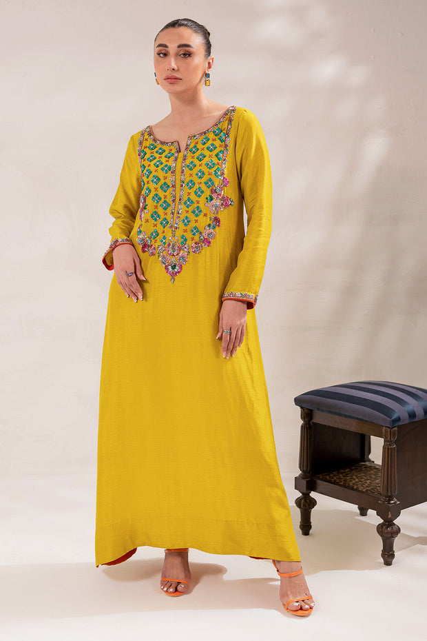 Embellished Kameez Trouser Raw Silk Pakistani Eid Dress