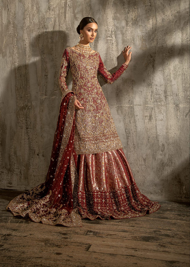 Embellished Kameez with Banarsi Lehenga Dress