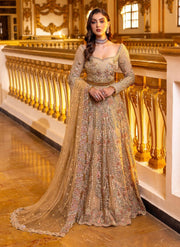Embellished Lehenga and Choli Pakistani Bridal Dress