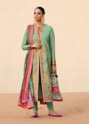 Embellished Long Dress Salwar Kameez Pakistani Party Dress