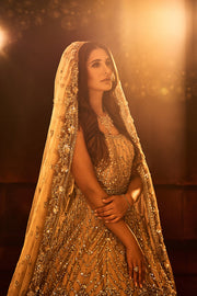 Embellished Long Tail Pakistani Bridal Gown Dress for Wedding