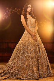 Embellished Long Tail Pakistani Bridal Gown for Wedding