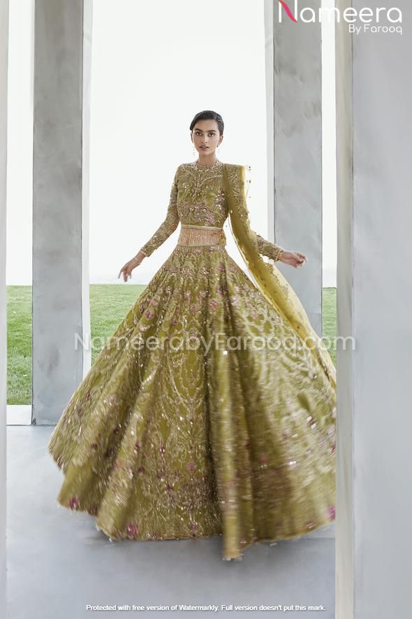 Embellished Organza Lehenga Choli Dress