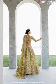 Embellished Organza Lehenga Choli Dress