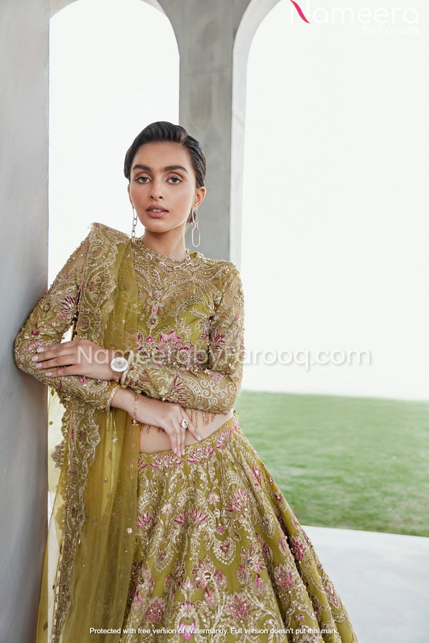 Embellished Organza Lehenga Choli Dress