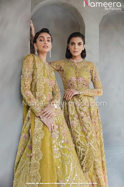 Embellished Organza Lehenga Choli Dress