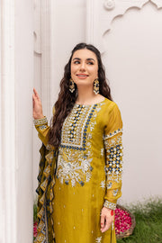 Embellished Pakistani Kameez Pants with Dupatta Dress Online