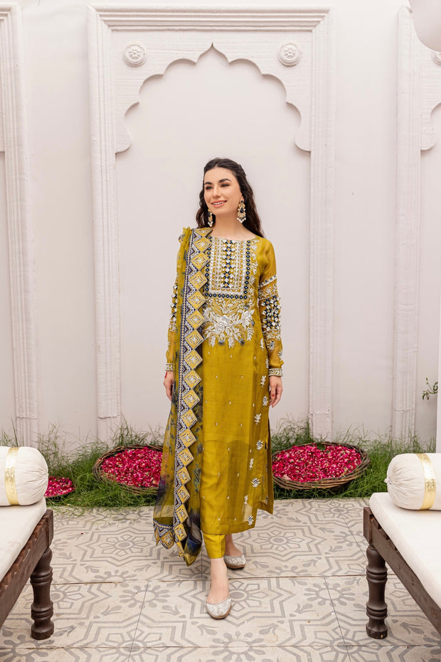 Embellished Pakistani Kameez Pants with Dupatta Dress
