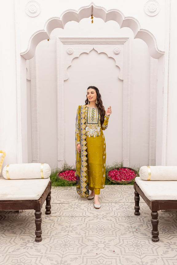 Embellished Pakistani Kameez Pants with Dupatta