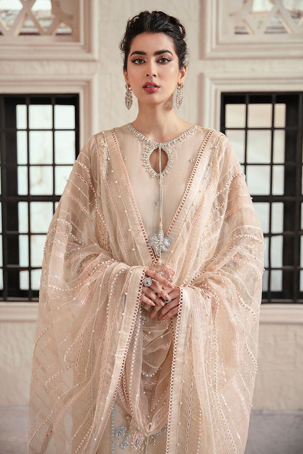 Embellished Pakistani Salwar Kameez Ladies Party Dress 2022