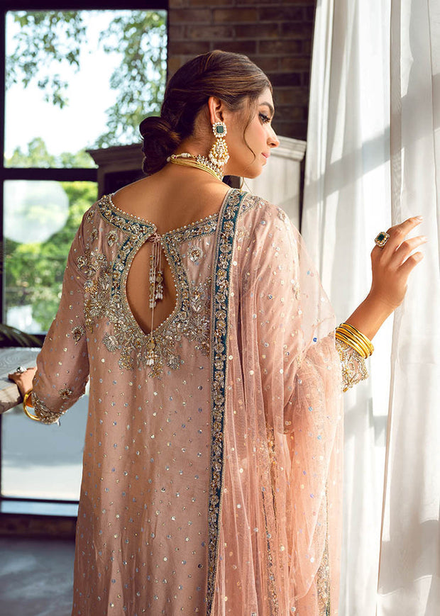 Embellished Raw Silk Suits Online for Pakistani Party
