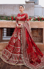 Embellished Red Bridal Lehenga Choli Dupatta Dress