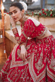 Embellished Red Bridal Lehenga Choli and Dupatta Dress