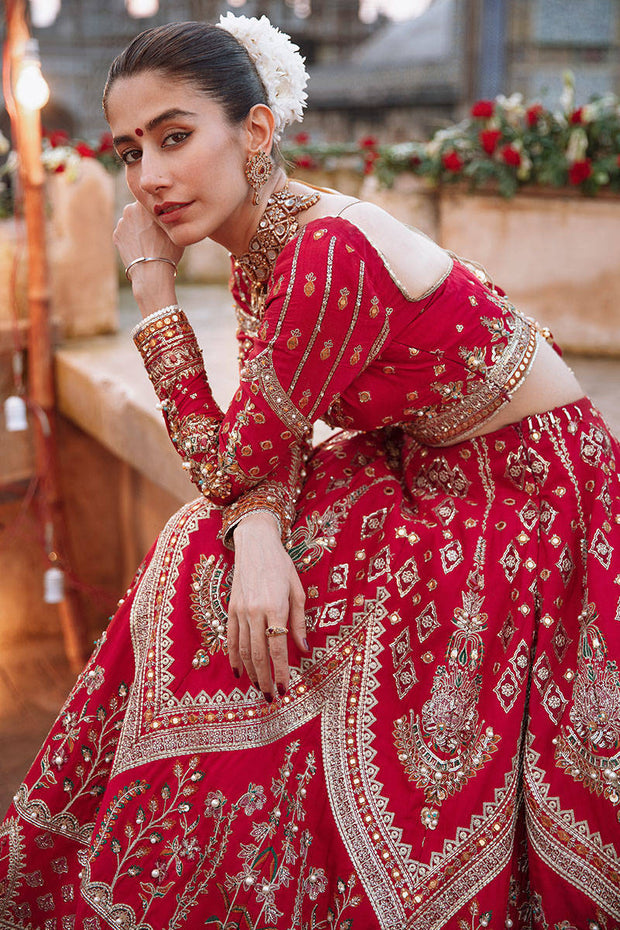 Embellished Red Bridal Lehenga Choli and Dupatta Dress