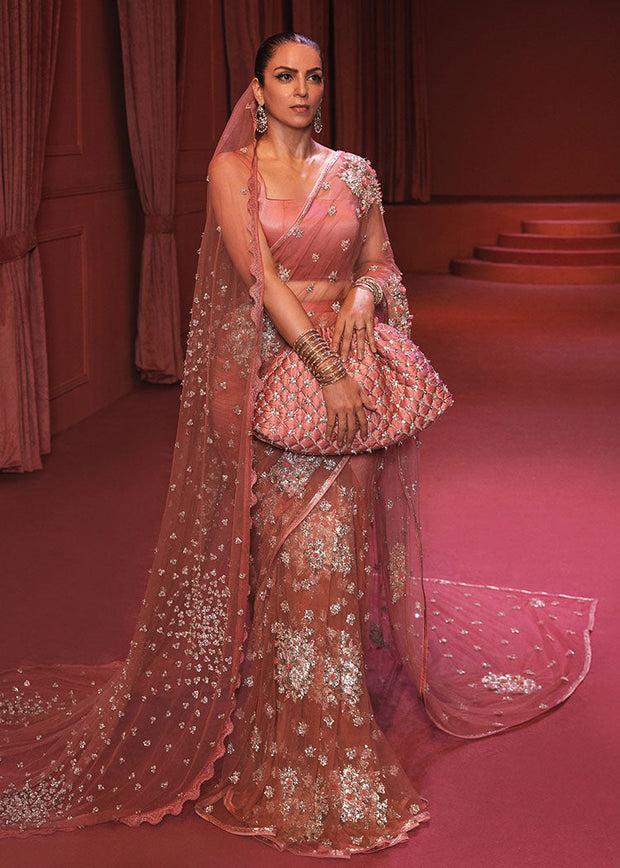 Embellished Rose Gold Saree Dress in Premium Net Fabric