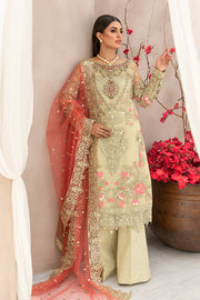 Embellished Salwar Kameez Pakistani Eid Dress