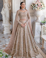 Embellished Silver Lehenga Choli Pakistani Wedding Dresses