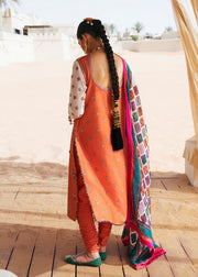 Embellished Simple Long Salwar Kameez Pakistani Party Dress 2022
