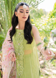 Embellished White Green Salwar Kameez Pakistani Suit