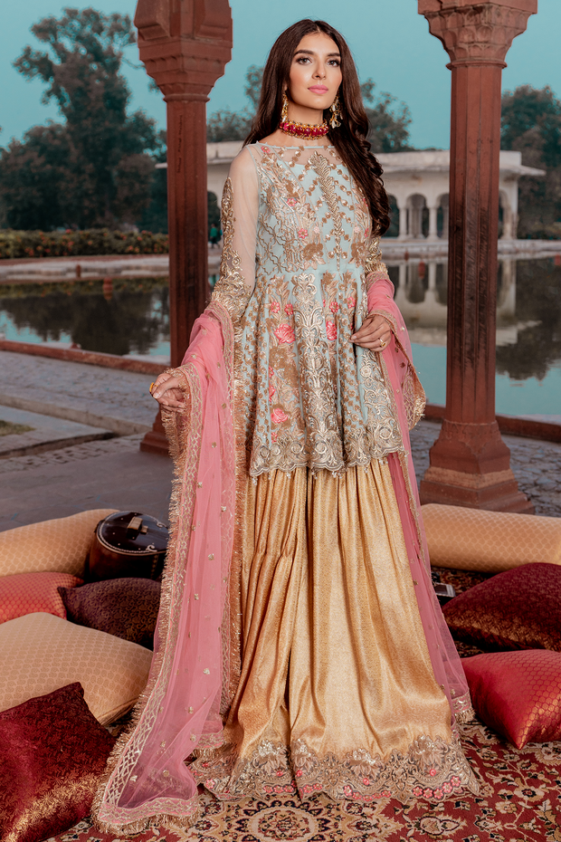 Pakistani net embellished party dress in blue and gold color