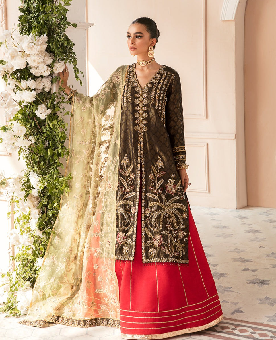 Embroidered Black Kameez and Red Lehenga Dupatta Dress