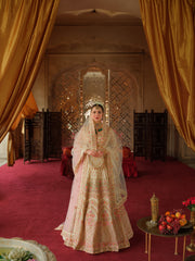 Embroidered Bridal Lehenga Choli and Dupatta Dress