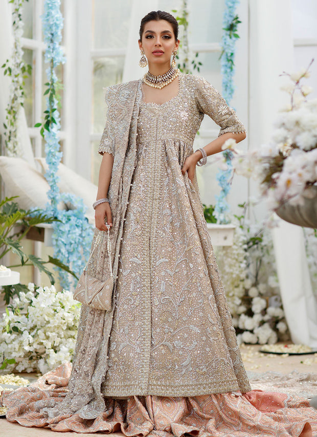 Embroidered Bridal Pakistani Dress for Indian Bridal Wear