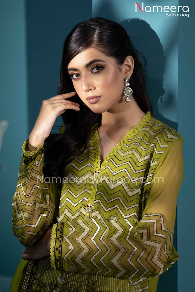 Embroidered Chiffon Dress
