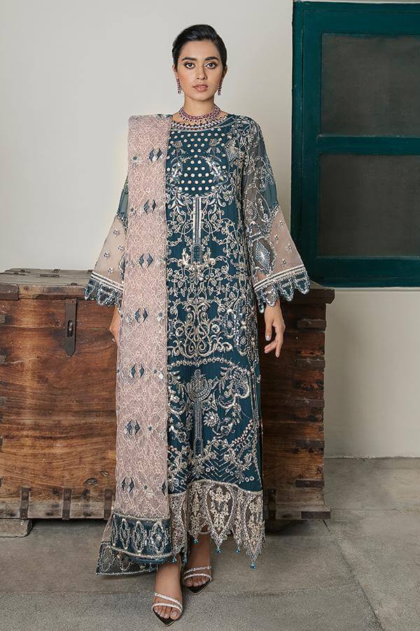 embroidered chiffon dress
