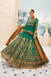 Embroidered Chiffon Frock with Lehnga  Overall Look