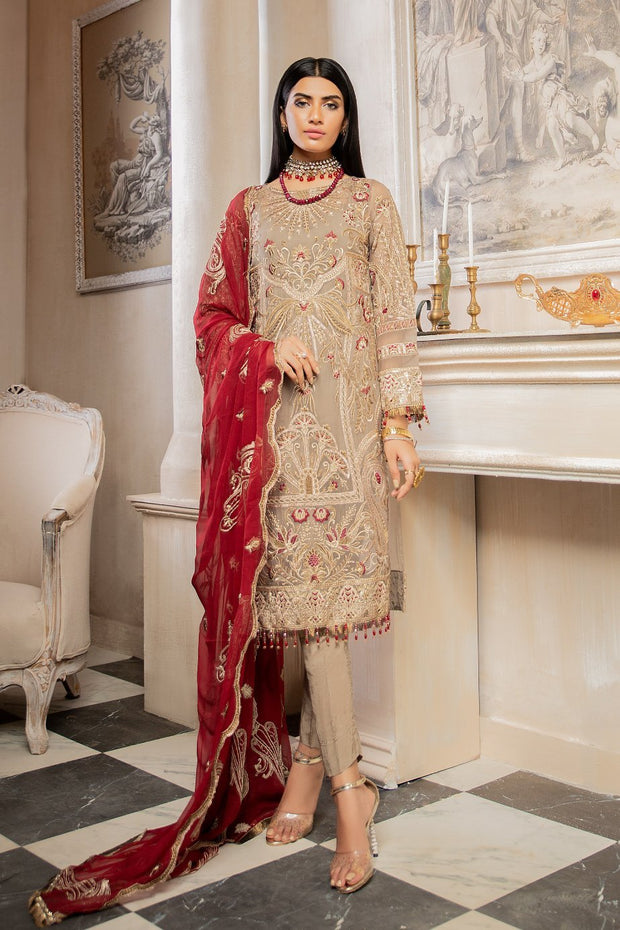 Embroidered Chiffon 
