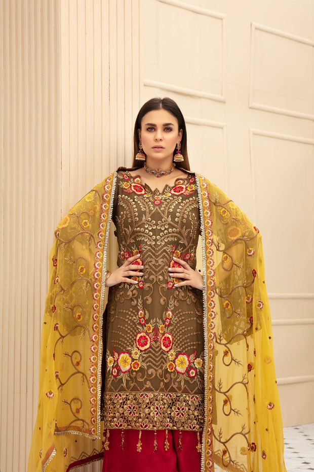 Embroidered Chiffon Party Wear