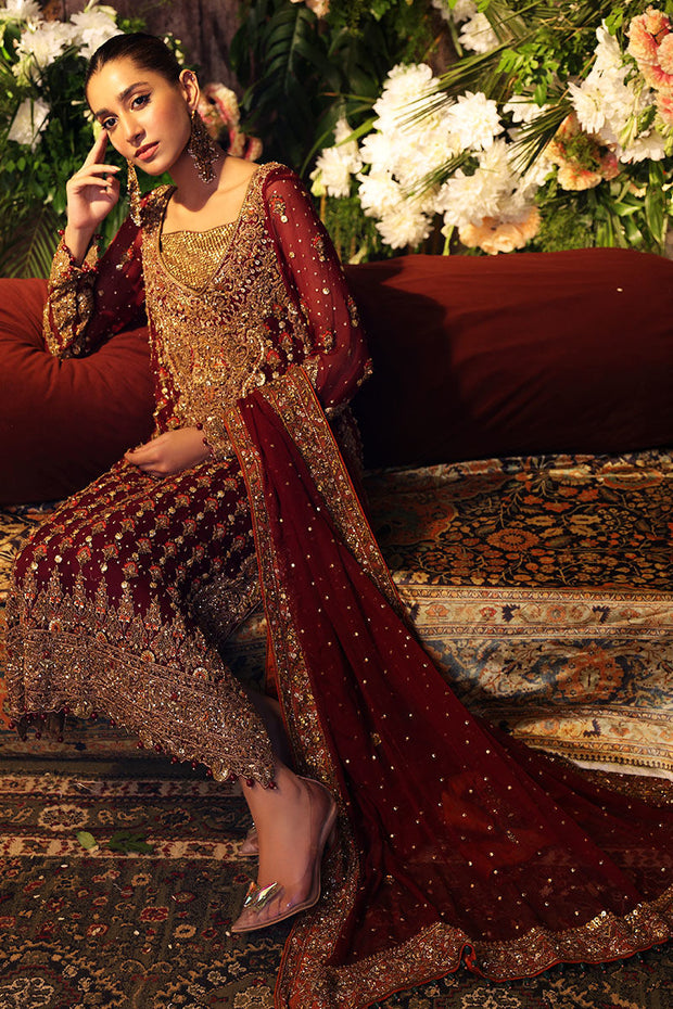 Embroidered Kameez Capri Pakistani Wedding Party Wear 2023