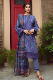 Embroidered Kameez Trouser Pakistani Lawn Dress for Eid