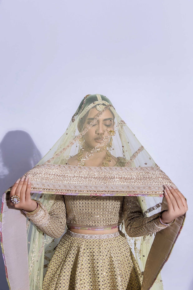 Embroidered Lehenga Choli Bridal Wedding Dress