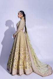 Embroidered Lehenga Choli and Dupatta Bridal Wedding Dress