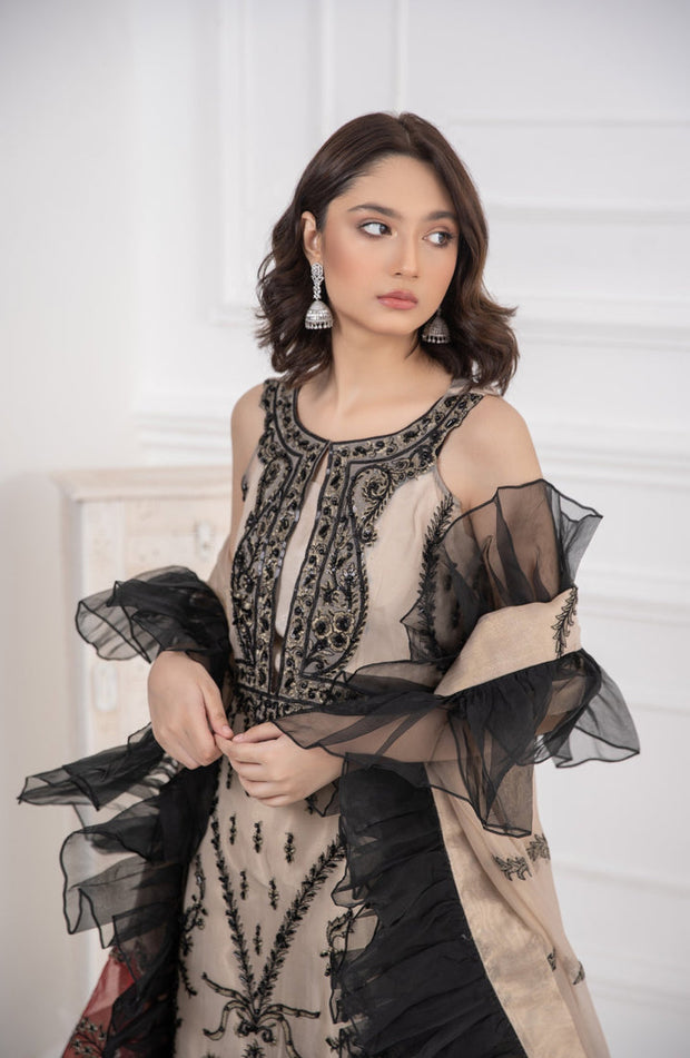 Embroidered Long Cotton Salwar Kameez Pakistani Dress 2022