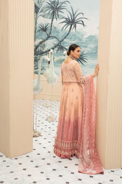 Embroidered Net Eid Dress in Peach Color Backside View