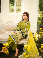 Embroidered Olive Salwar Kameez Pakistani Eid Dress 2022