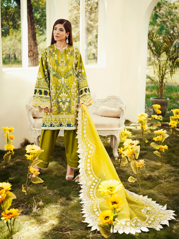 Embroidered Olive Salwar Kameez Pakistani Eid Dress