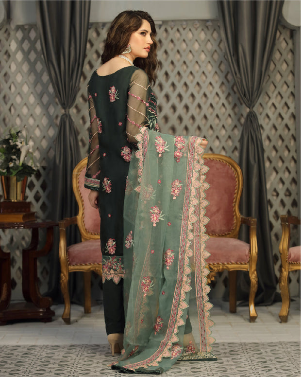 Embroidered Organza Black Salwar Kameez Pakistani Dresses 2022