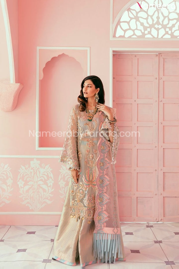 Organza Dress in Pakistan 