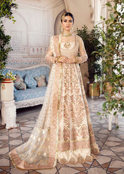 Embroidered Organza Maxi in White Color