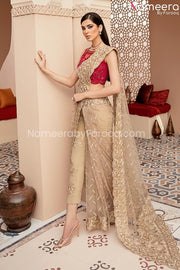 Embroidered Pakistani Dress