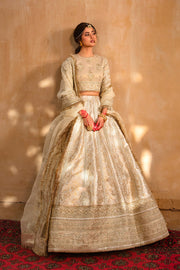 Embroidered Pakistani Lehenga Blouse and Dupatta Dress