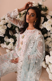 Embroidered Pakistani Net Salwar Kameez and Dupatta Dress