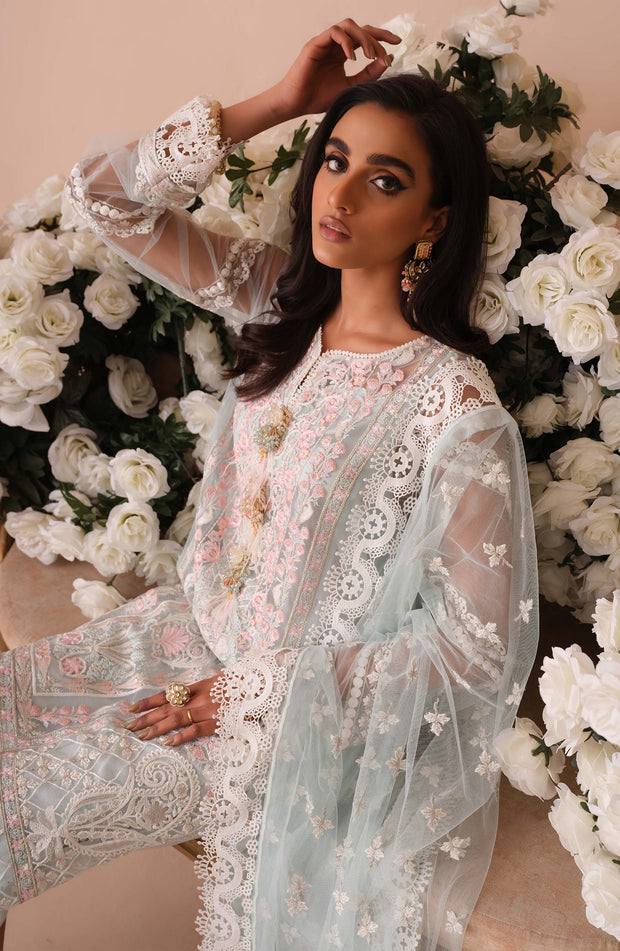 Embroidered Pakistani Net Salwar Kameez and Dupatta Dress