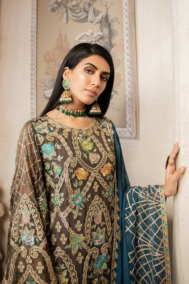 Embroidered Pakistani party wear